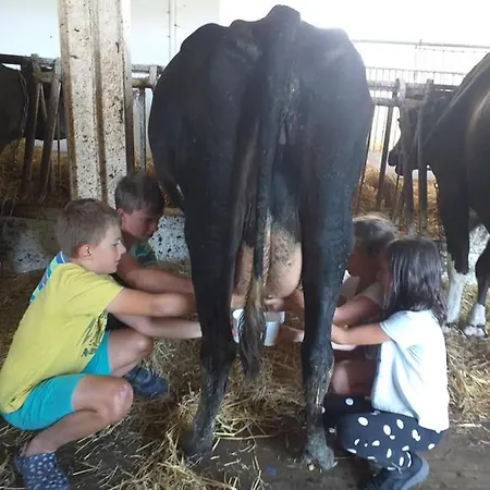 Lobeliowe Zacisze Sominy