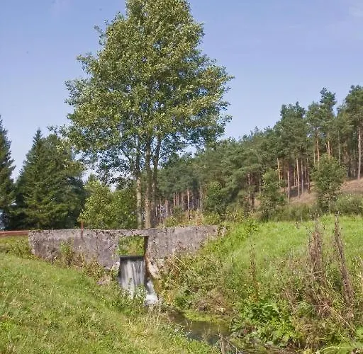 Lobeliowe Zacisze Sominy