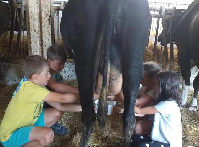 Lobeliowe Zacisze Sominy